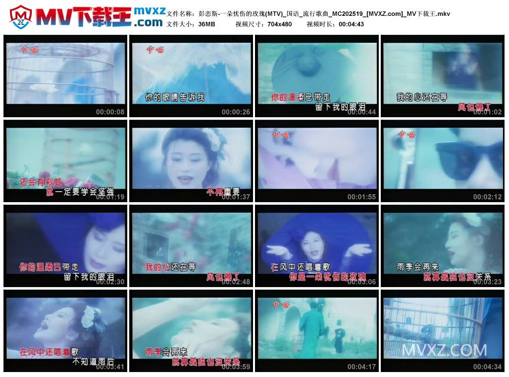 彭恋斯-一朵忧伤的玫瑰(MTV)_国语_流行歌曲_MC202519